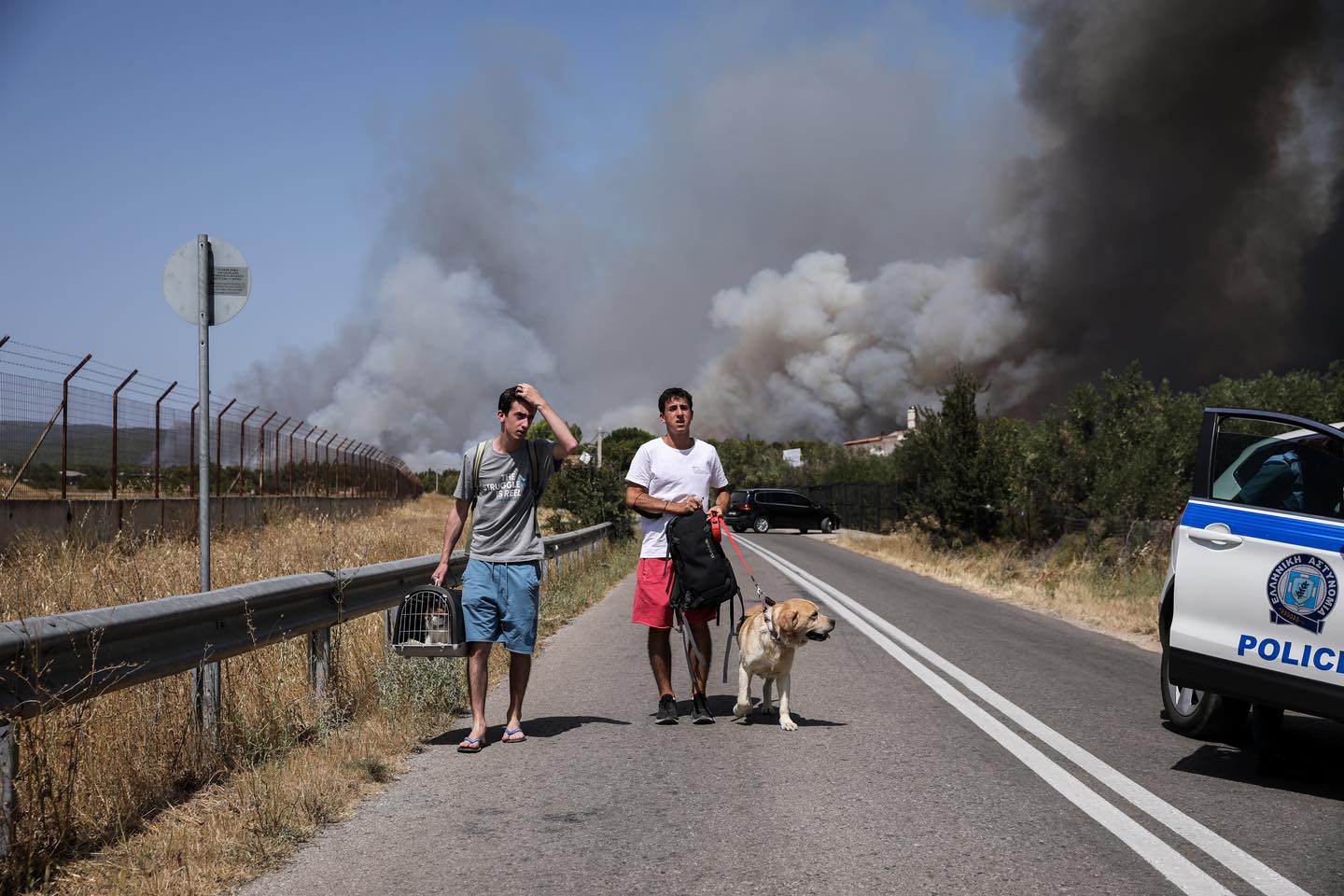 Φωτιά Βαρυπόμπη - Συγκινούν οι προσπάθειες πυροσβεστών και κατοίκων να σώσουν ζωάκια της περιοχής