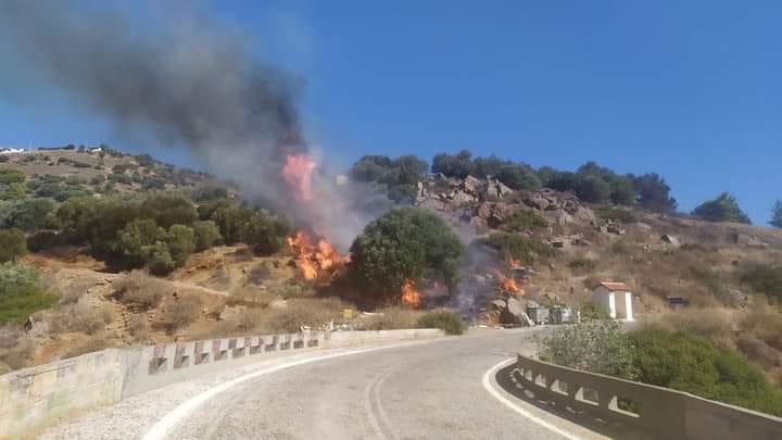 Φωτιά στο Μαρκάτι – Εκκενώθηκε ο οικισμός – «Έχουν καεί σπίτια» λέει ο δήμαρχος Λαυρεωτικής στο in.gr