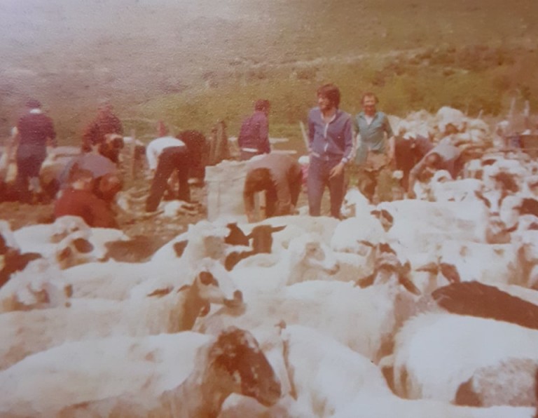 Κυριακάτικη ιστορία (Αφιερωμένη στην υπουργό Παιδείας)