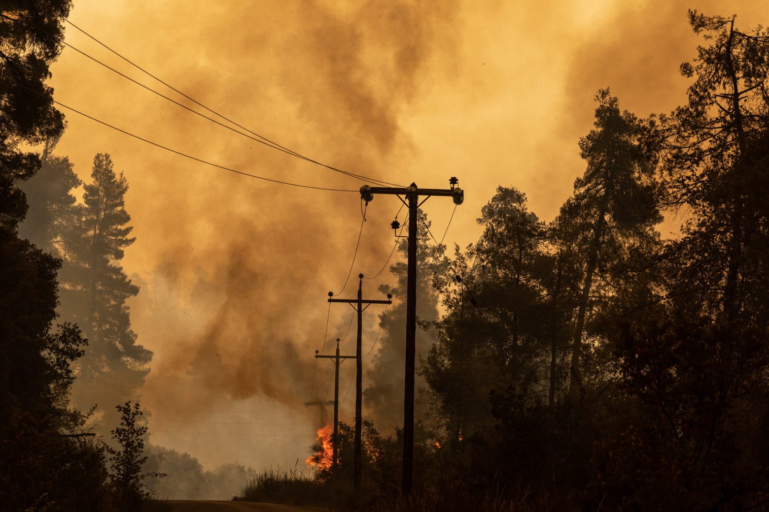 Φωτιά στην Εύβοια - Συνεχείς αναζωπυρώσεις και ανθρώπινη «αλυσίδα» ενάντια στα πύρινα μέτωπα