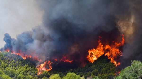 Φωτιές στη Μεσσηνία – «Ήμασταν στο έλεος του Θεού, δεν υπήρχε βοήθεια» – Απελπισμένοι οι κάτοικοι σε Διαβολίτσι και Καρνάσι