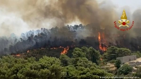 Ποιος φταίει για τις δασικές πυρκαγιές;