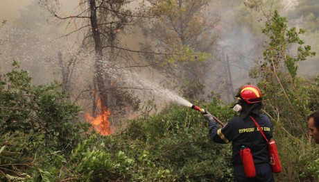Φωτιά – Έξι εστίες πυρκαγιάς στην ευρύτερη περιοχή της Μάνδρας και στο Πόρτο Γερμενό