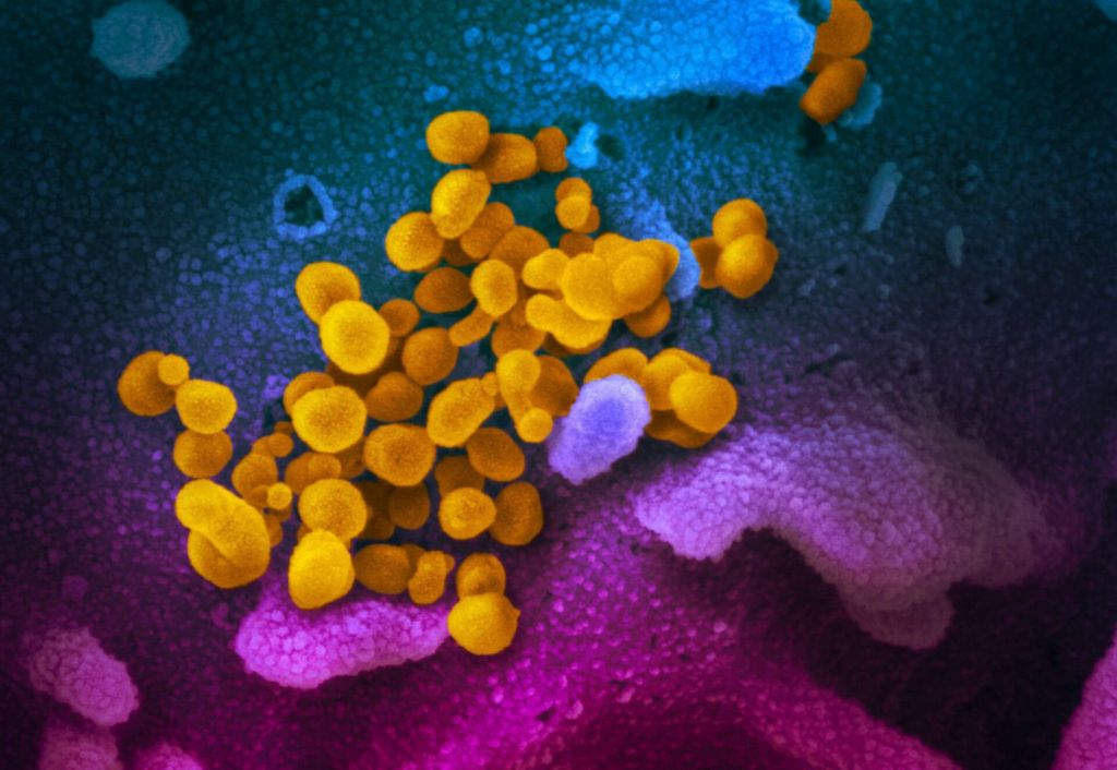 Μετάλλαξη Δέλτα : Ποια εξελικτικά πλεονεκτήματα οδήγησαν στην επικράτησή του