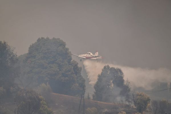 Φωτιές – Μάχη με τις αναζωπυρώσεις – Τα πύρινα μέτωπα σε Μάνη και Ηλεία