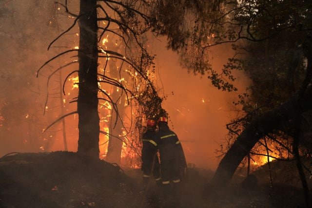 Μαλακάσα - Οι φλόγες πέρασαν την εθνική προς Ωρωπό - Εκκενώνονται περιοχές