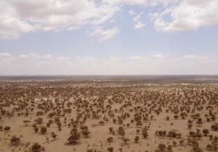 Γιατί ξεφυτρώνουν μαζικά δέντρα και κυκλικοί κήποι στη… Σαχάρα;