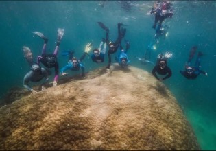 Αυστραλιανό κοράλλι 400 ετών απέκτησε γιγάντιες διαστάσεις