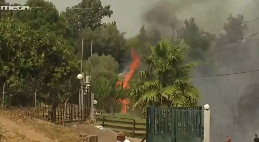 Φωτιά στην Ηλεία: Κόλαση φωτιάς στη Νεμούτα - Δραματική έκκληση των κατοίκων