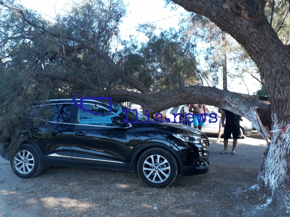 Ηλεία – Τεράστιο κλαδί δέντρου αποκόπηκε στην παραλία των Σαβαλίων – Καταπλάκωσε αυτοκίνητο