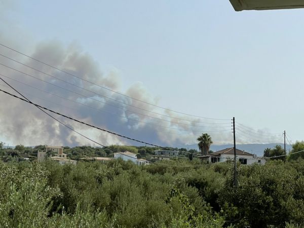 Φωτιές σε Φθιώτιδα και Μεσσηνία – Συναγερμός στην πυροσβεστική