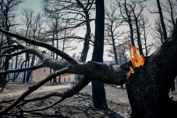 Φωτιές – Ο «πύρινος στρόβιλος» που κατέκαψε την Αττική