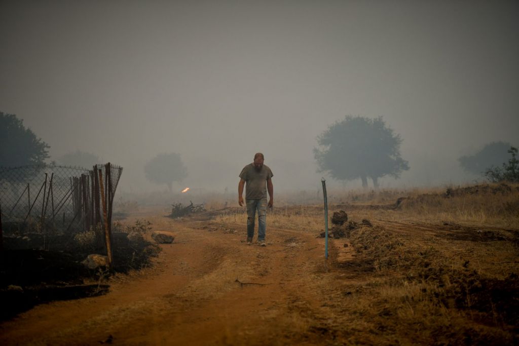 Πυρκαγιές: Δεκάδες χιλιάδες υπογραφές σε έκκληση της WWF για την πρόληψη