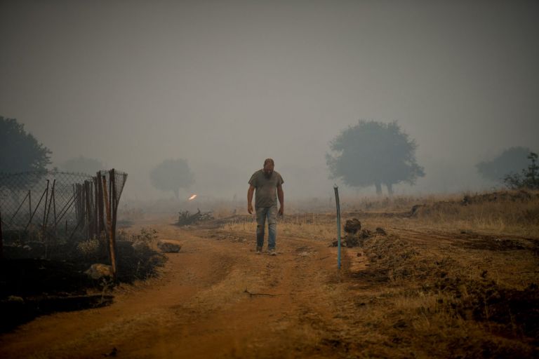 Πυρκαγιές: Δεκάδες χιλιάδες υπογραφές σε έκκληση της WWF για την πρόληψη