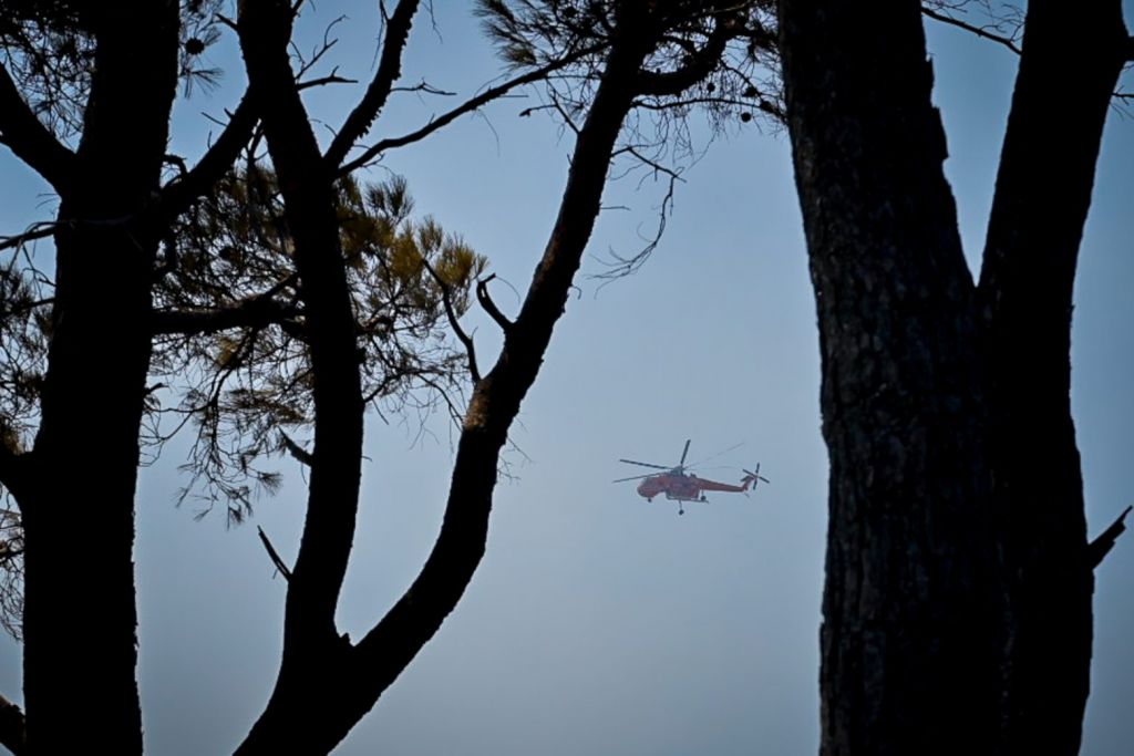 Φωτιά στην Ολυμπία – Εκκενώνονται οι κοινότητες Πουρνάρι και Ηράκλεια