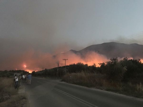 Σκρέκας – Αναδασωτέες κηρύσσονται μέσα σε 30 μέρες οι περιοχές που κάηκαν