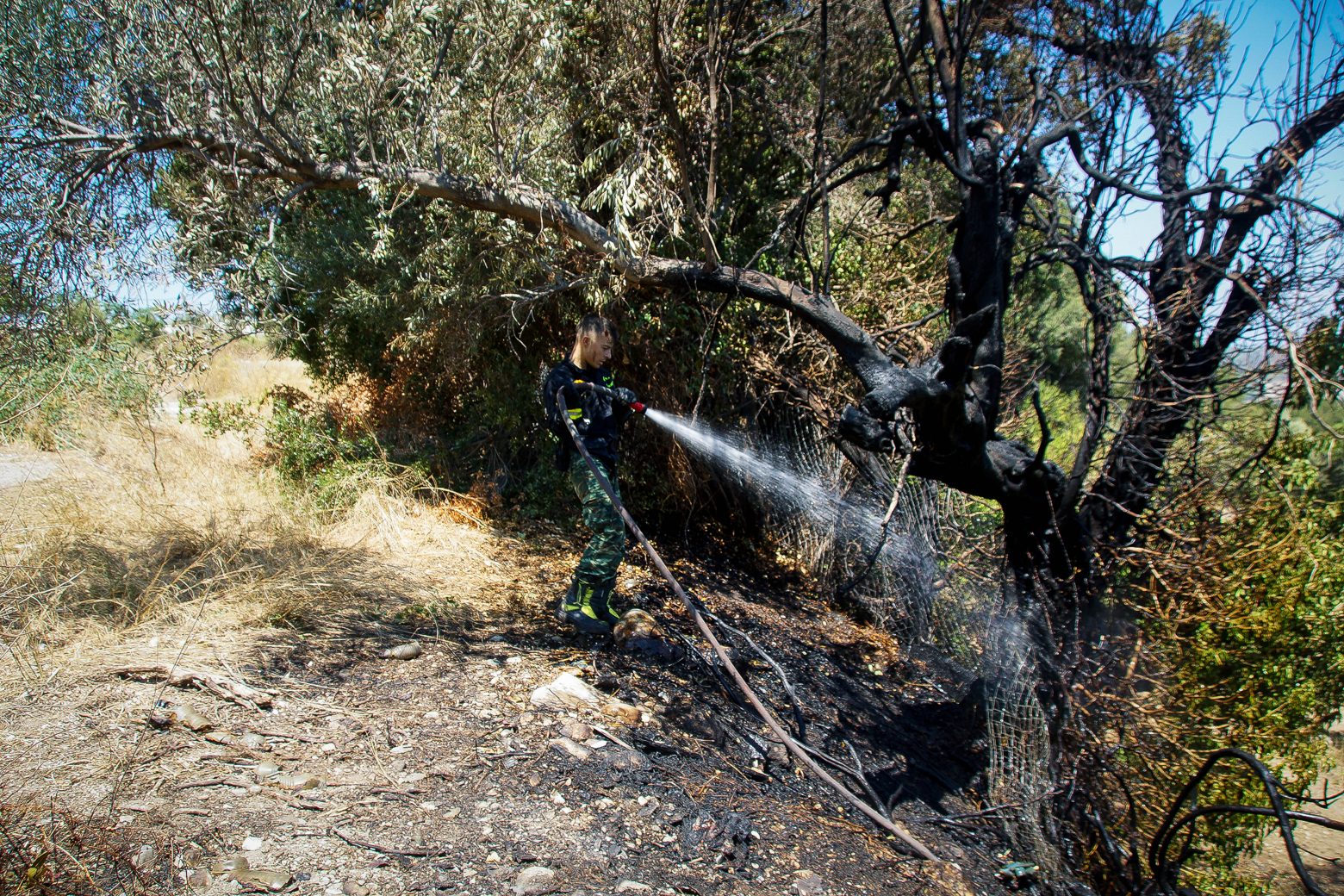 Ρόδος - Κλιμάκιο του ΕΛΓΑ καταγράφει τις ζημιές από τις πυρκαγιές - Περιπολίες σε δασικές εκτάσεις