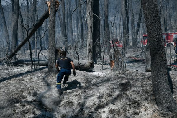 Μητσοτάκης – Η απόδοση ευθυνών για τις πυρκαγιές θα γίνει μετά το τέλος της μάχης