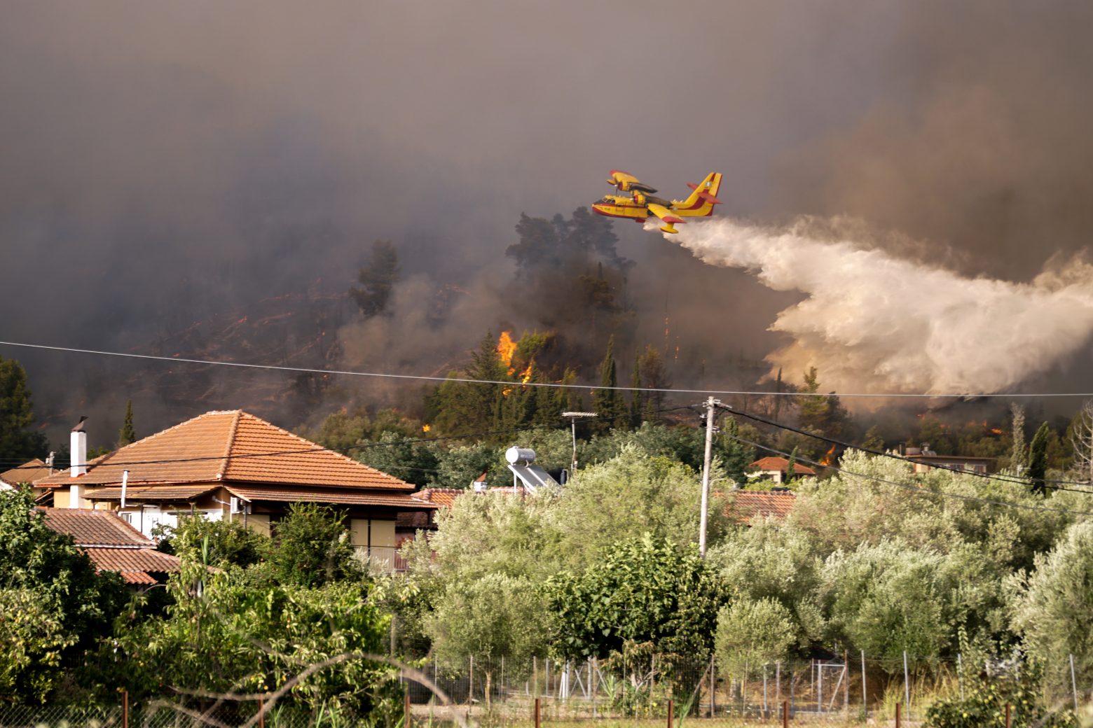 Χαρδαλιάς - Επτά πυρκαγιές ταυτόχρονα στην Ηλεία - 118 φωτιές σε ένα 24ωρο στην Ελλάδα