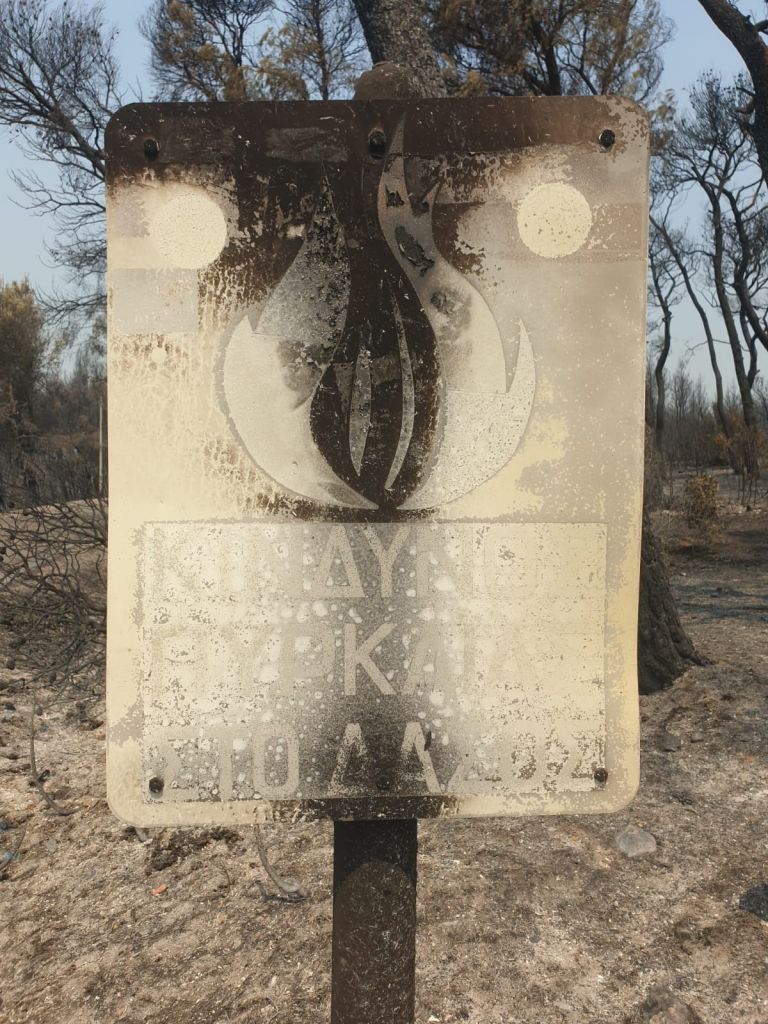 Τα λόγια είναι περιττά