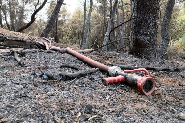Οδοιπορικό του in.gr – Η μάχη με τη φωτιά, η δύναμη του εθελοντισμού και η αγωνία για τους εμπρησμούς