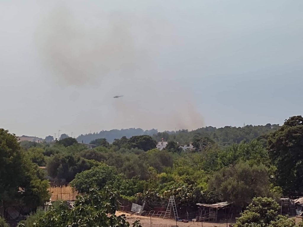 Ρόδος – Ξεκίνησε η καταγραφή των ζημιών μετά την πυρκαγιά