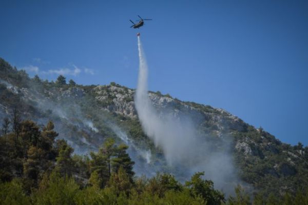 Το in.gr στα καμμένα – Ποιες ήταν οι δυσκολίες για τη διάνοιξη των αντιπυρικών ζωνών