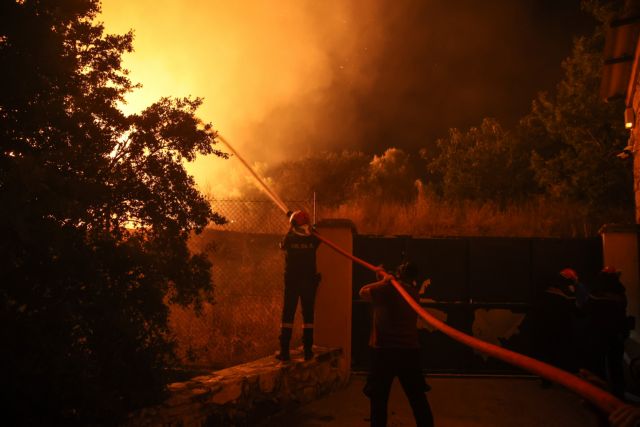 Πάρνηθα – Ένας ανεκτίμητος θησαυρός χλωρίδας και πανίδας που απειλείται διαρκώς