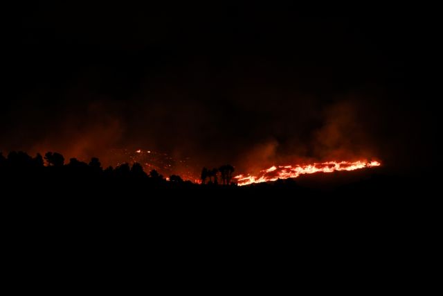 Φωτιά στη Φωκίδα - Συγκλονιστικά βίντεο από τη φωτιά στα χωριά Ελαία και Καλλιθέα