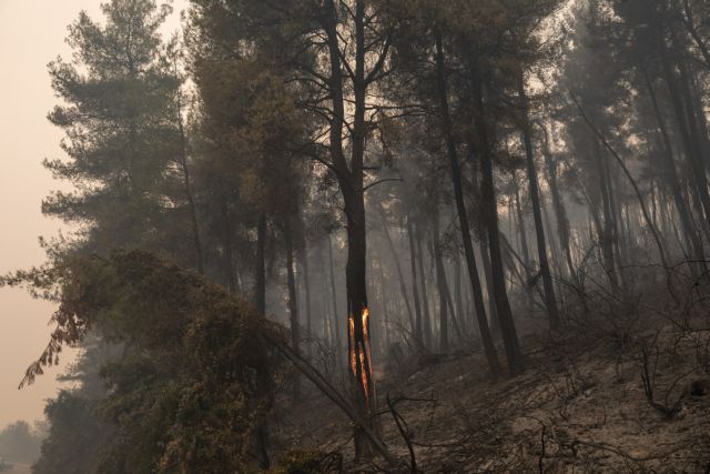 ΓΓΠΠ – Πολύ υψηλός κίνδυνος πυρκαγιάς για 5 Περιφέρειες