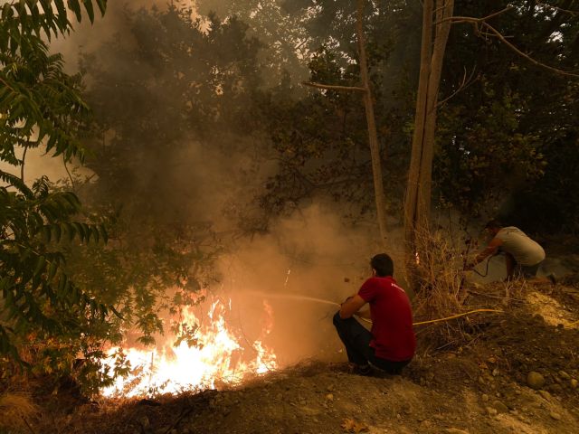 ΚΚΕ- «Ο λαός μόνο μπορει να σώσει τον λαό», τονίζει ο Κουτσούμπας με αφορμή τις φωτιές