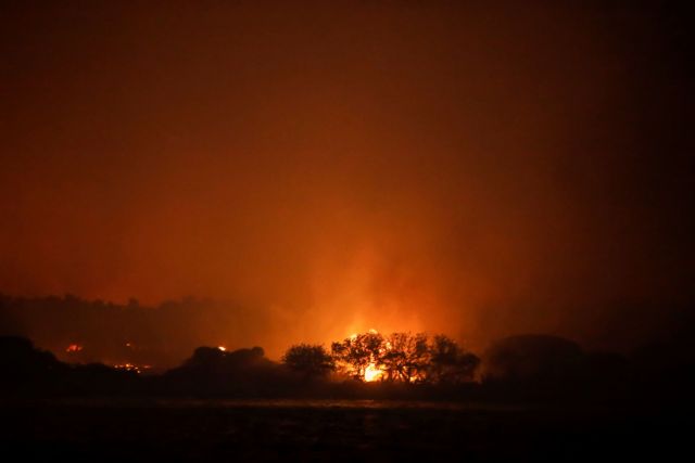 Πυρκαγιές στην Τουρκία – Δραματικές εικόνες απόλυτης καταστροφής