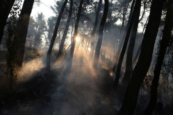 Οργανωμένο σχέδιο εμπρησμού  βλέπει ο Πατούλης πίσω από τις πυρκαγιές της Αττικής