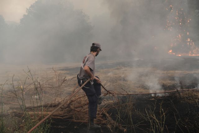 Φωτιά στην Αττική - Μετρούν τις πληγές τους οι κάτοικοι του Διονύσου - Τι λέει ο δήμαρχος στο MEGA