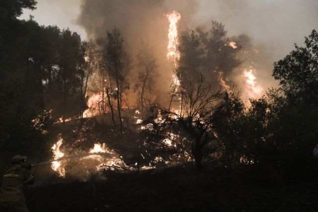 Φωτιά στην Εύβοια – Συγκλονιστική μαρτυρία – «Μας εγκατέλειψαν στο έλεος της φωτιάς»