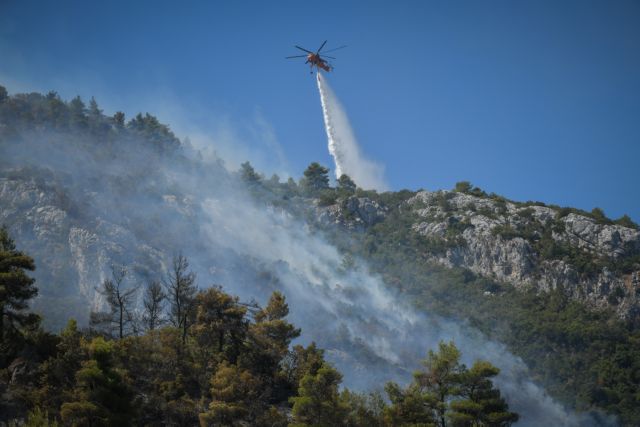 Φωτιά στην Εύβοια: Οι φλόγες καίνε τα πάντα στην Ιστιαία