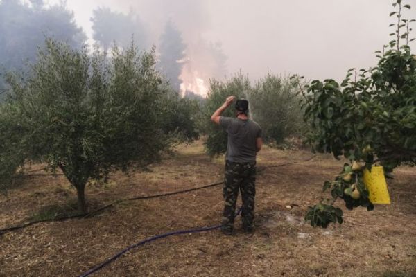 Φωτιά στην Εύβοια – Συγκλονιστικό βίντεο με εναέρια πλάνα από τις πληγείσες περιοχές