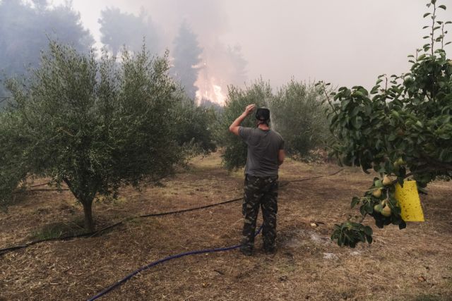 Φωτιά στην Εύβοια - Συγκλονιστικό βίντεο με εναέρια πλάνα από τις πληγείσες περιοχές