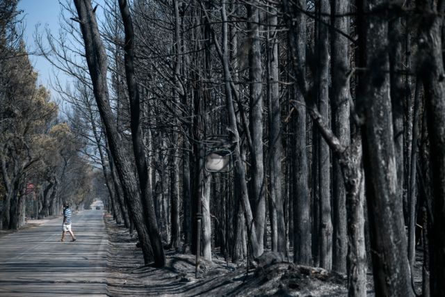 Φωτιές – Προς κάθε κατεύθυνση η εισαγγελική έρευνα – Τι εξετάζεται