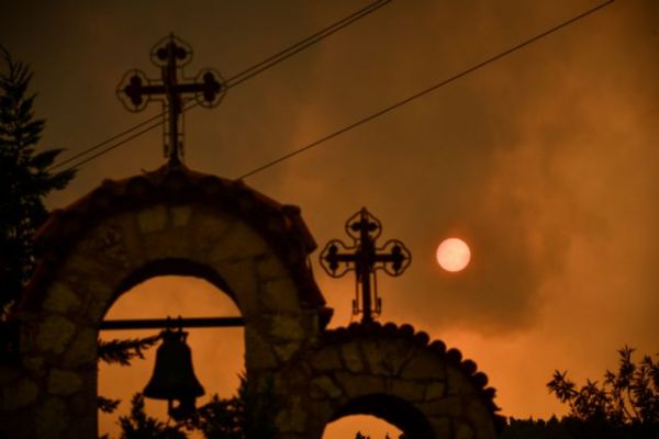 Φωτιά στα Βίλια – Στο «Φράγκειο» Δημοτικό Στάδιο η φροντίδα για τα πυρόπληκτα ζώα