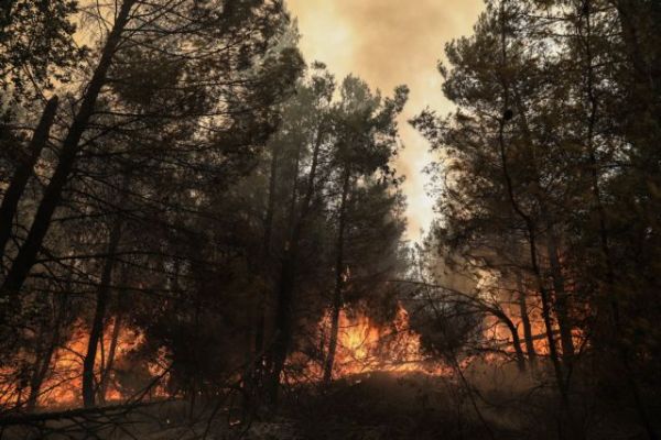 Φωτιές – Συγκλονιστικές μαρτυρίες Γάλλων πυροσβεστών – Το «καταραμένο κοκτέιλ» που έκαψε την Ελλάδα
