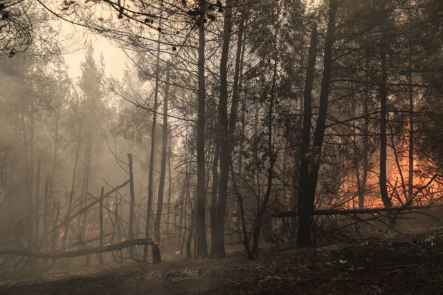 Γεωργιάδης στο Mega – Οι ευθύνες θα καταλογιστούν όταν λήξουν οι πυρκαγιές