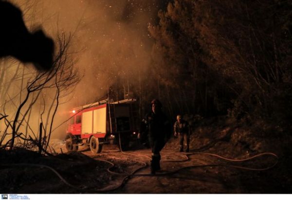 Φωτιά στη Φθιώτιδα – Μάχη με τις αναζωπυρώσεις δίνουν οι πυροσβέστες