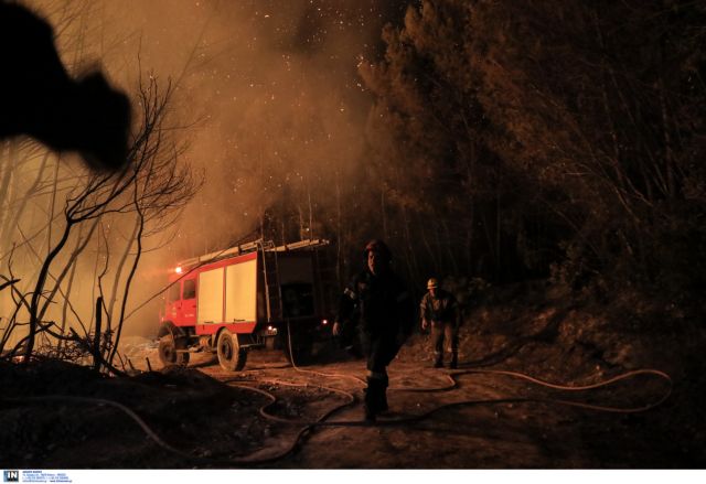 Φωτιά στη Φθιώτιδα - Μάχη με τις αναζωπυρώσεις δίνουν οι πυροσβέστες