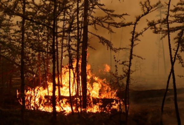 Κλιματική αλλαγή – Για πρώτη φορά στην ιστορία οι καπνοί από τις φωτιές της Σιβηρίας έφτασαν στον Βόρειο Πόλο