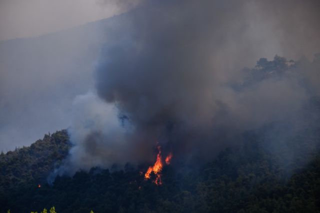 Φωτιά στα Βίλια – Κοντά στους οικισμούς Παλαιοχώρι και Θέα οι φλόγες