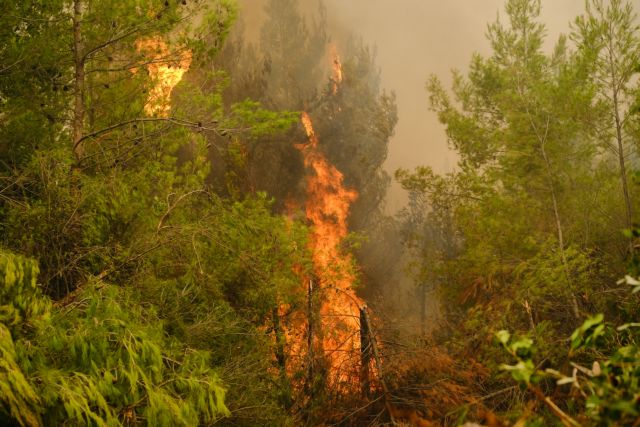 Πολιτική Προστασία – Πολύ υψηλός κίνδυνος πυρκαγιάς σήμερα σε Εύβοια και Αττική – O χάρτης πρόβλεψης κινδύνου