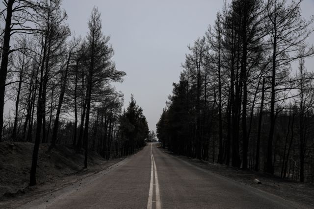 Γεωπονικό Πανεπιστήμιο Αθηνών – Πώς να αναγεννήσουμε και να προστατεύσουμε τα δάση από τις πυρκαγιές