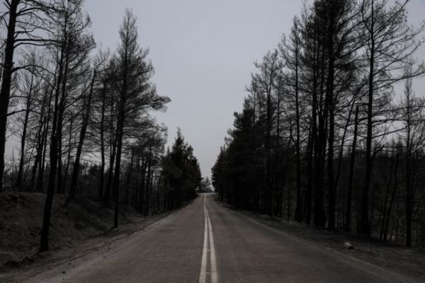 Φωτιές στην Εύβοια – Διπλασιάζει ο ΟΑΕΔ τη διάρκεια διακοπών κοινωνικού τουρισμού στους πυρόπληκτους δήμους