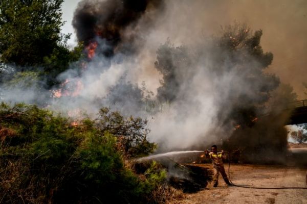 Φωτιές – Συλλήψεις για εμπρησμό σε Φωκίδα, Καλαμάτα και Κρυονέρι